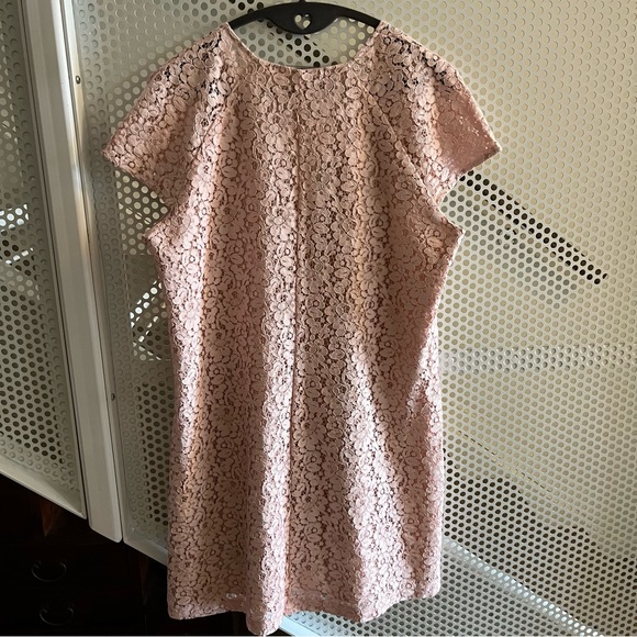 VGUC Zara Lace look Pink Vee Neck Dress Size Large - Picture 8 of 9